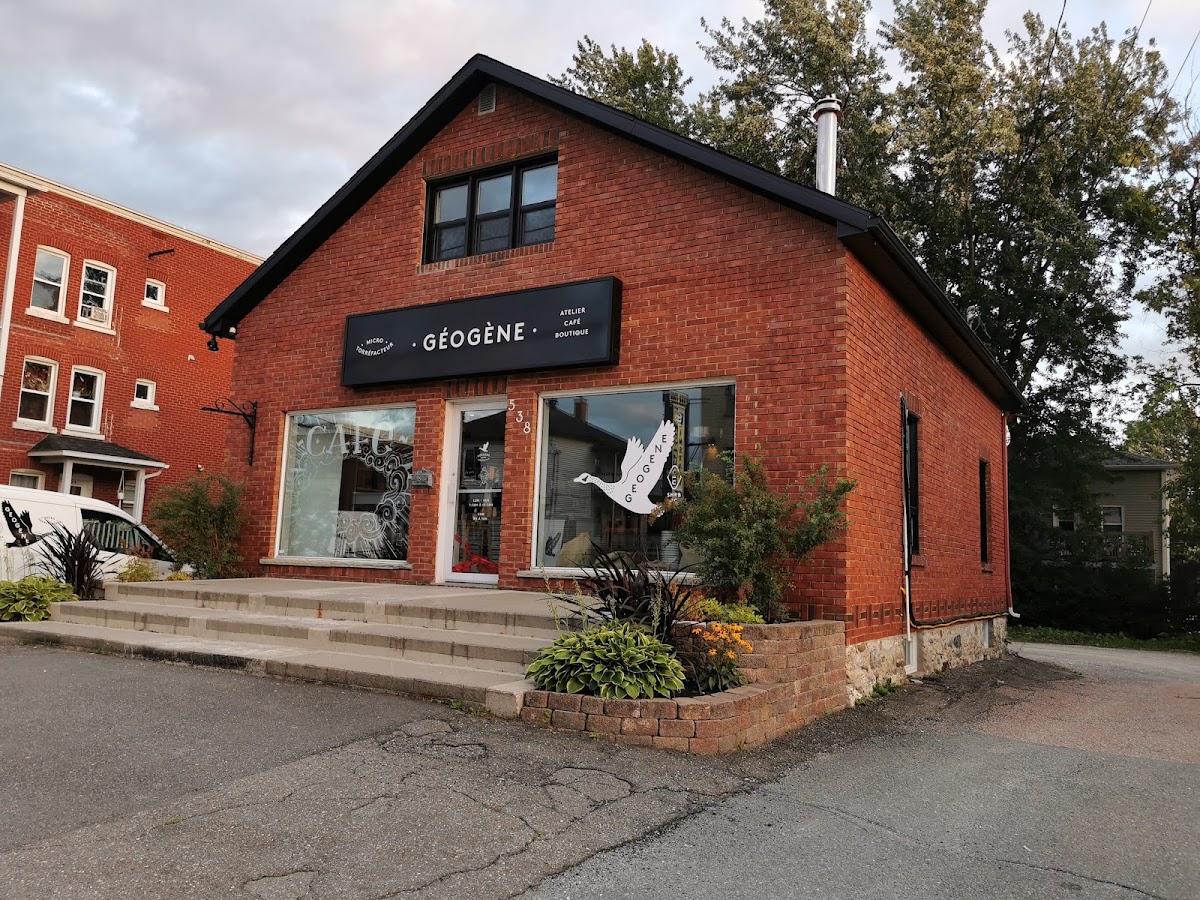 Géogène Micro-Torréfacteur